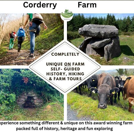 Corderry Farmhouse, Idyllic Cottage Amid 250 Acres Lisvernane 外观 照片